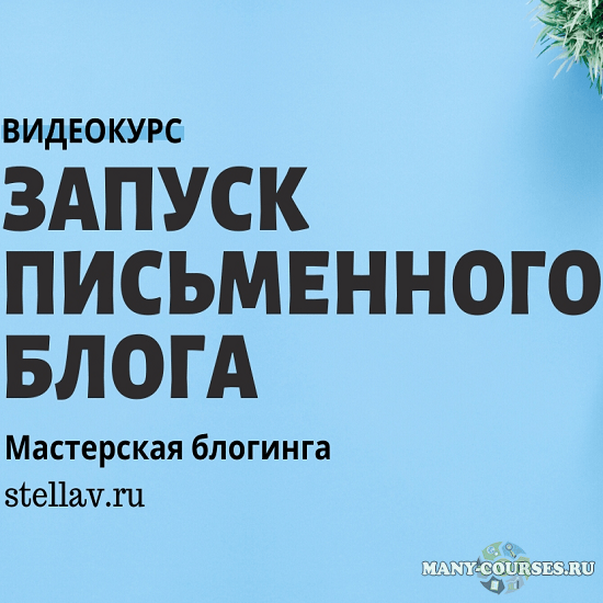 Стелла Васильева - Видеокурс по запуску письменного блога