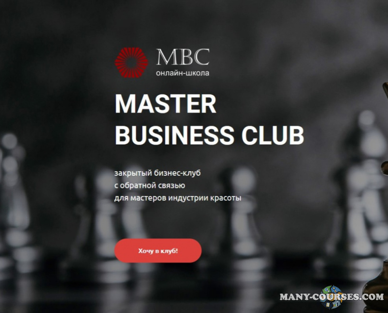 Светлана Андреева - Все материалы Master business club