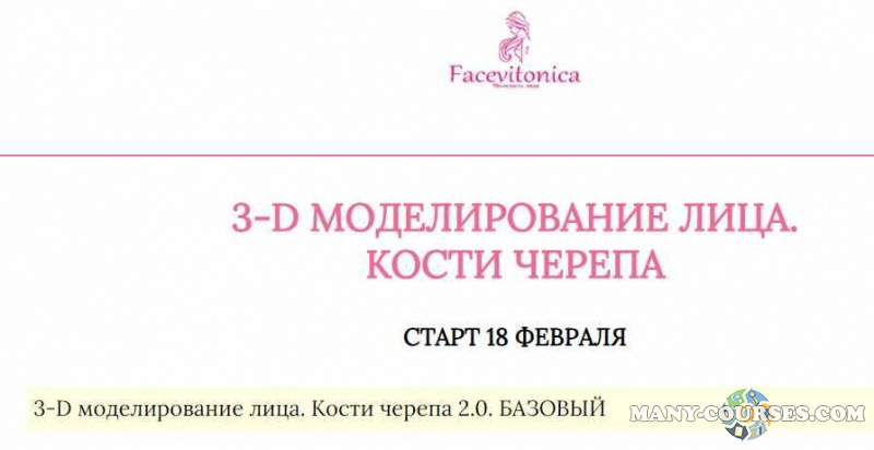 Facevitonica / Инна Алферова - 3Д Моделирование лица. Кости черепа