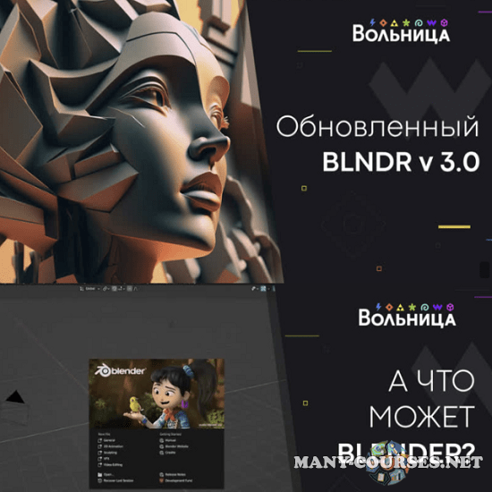 Вольница / Андрей Шкиль - BLNDR 3.0 + Нейромодуль